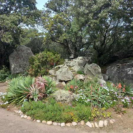 1 Piece 16 M2 Climatise 2 Personnes Piscine Partagee