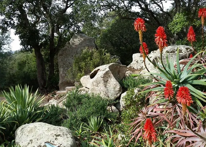 1 Pièce 16 M2 Climatisé 2 Personnes Piscine Partagée *