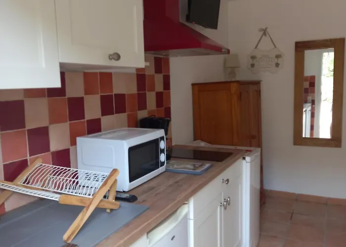 דירה 1 Piece 16 M2 Climatise 2 Personnes Piscine Partagee פורטו-וישיו